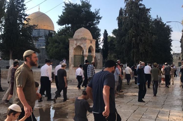 95 coloni fanno irruzione ad al-Aqsa 95 coloni fanno irruzione ad al-Aqsa