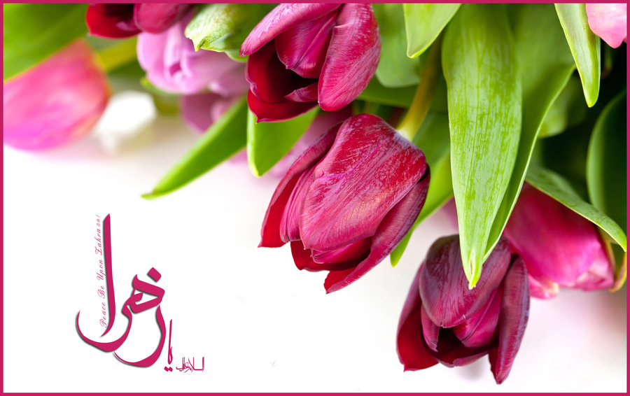 Auguri per anniversario nascita Fatima Zahra (SA) e Auguri per anniversario nascita Fatima Zahra (SA) e