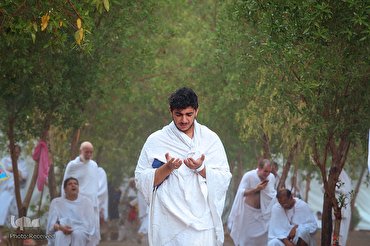 La giornata di Arafa in Iran e nel mondo islamico La giornata di Arafa in Iran e nel mondo islamico