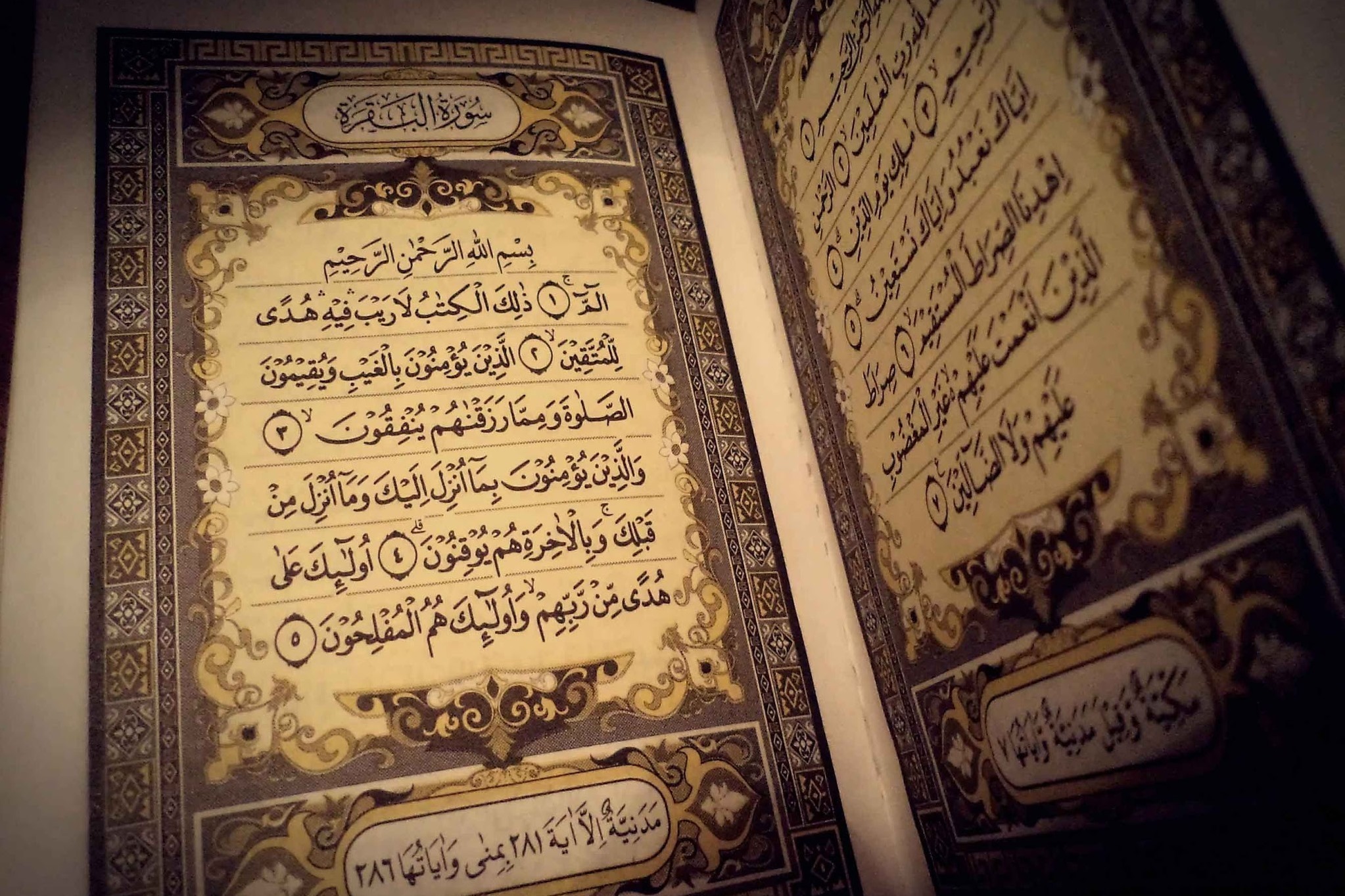 La Luce del Corano - Esegesi del Sacro Corano,vol 1 - Parte 139 - Sura Al-Bagharah - versetto 242
