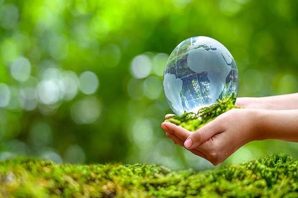 Studioso islamico: l'Islam attribuisce grande importanza alla protezione dell'ambiente