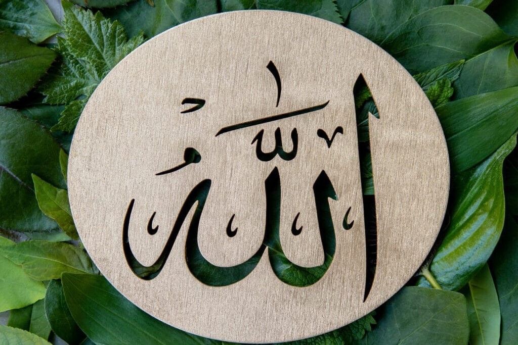 Versetti quotidiani: anche le piante adorano Allah