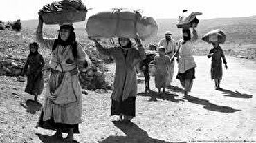 Giornata internazionale di solidarietà con il popolo palestinese. 29 novembre: l’inizio del genocidio Giornata internazionale di solidarietà con il popolo palestinese. 29 novembre: l’inizio del genocidio