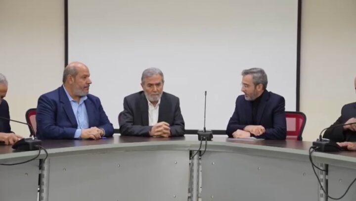 Ministro degli Esteri ad interim iraniano: la questione palestinese è una delle nostre priorità più alte Ministro degli Esteri ad interim iraniano: la questione palestinese è una delle nostre priorità più alte