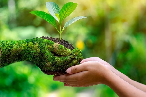 L'Islam considera il danneggiamento dell'ambiente un atto di ingiustizia e malvagità
