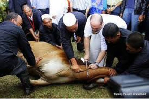 Suasana Eid Al-Adha + Gambar