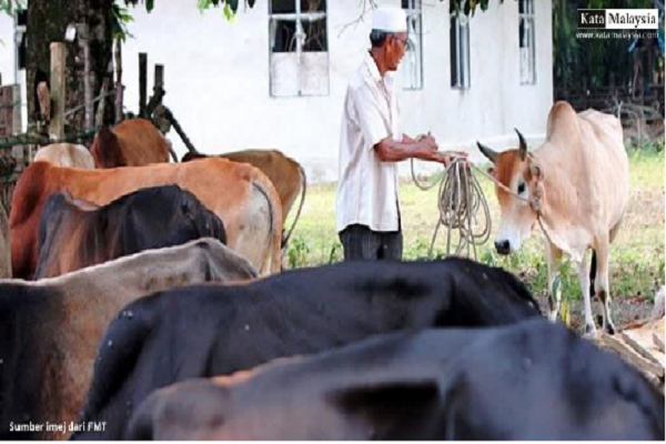 Suasana Eid Al-Adha + Gambar