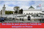    د فرانسې حکومت په دغه هیواد کې د جوماتونو په ملاتړ کې لټي کوي