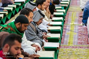 Ежедневные сеансы чтения джузов Корана в святыне Алави
