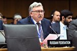 Россия: американская резолюция по поводу Ормузского пролива неверна
