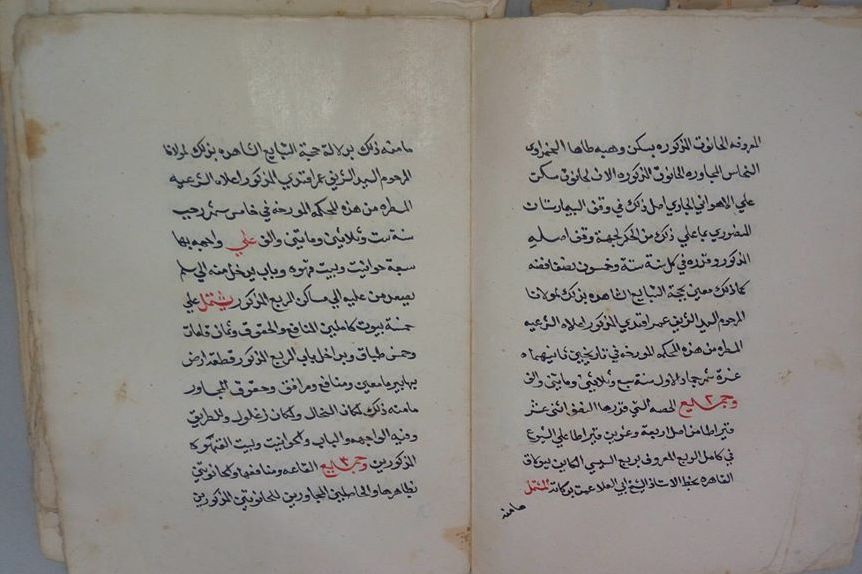 Mısır'da elyazma Kur'an nüshaları keşfedildi