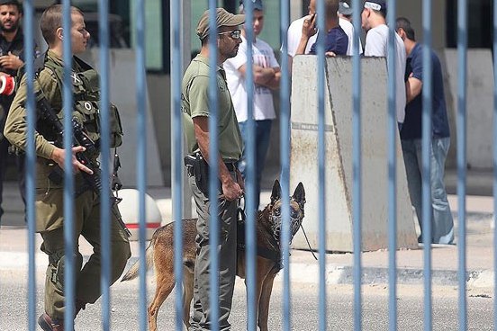 İsrail güçleri 5 Filistinliyi yaraladı