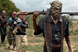 Nijerya basını: Boko Haram liderinin durumu ağır