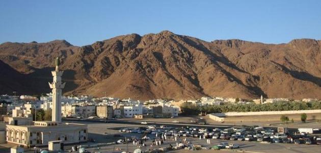 Medine; Dini turizm kapasitesi yüksek bir şehir
