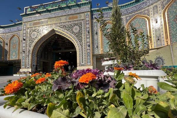 İmam Ali'nin (a.s) doğum yıldönümü Kerbela'da anıldı