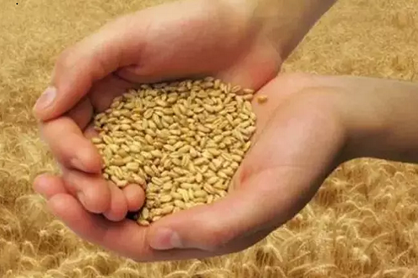 Kur’an-ı Kerim’de Humus ile ilgili ayetlere kısa bir bakış