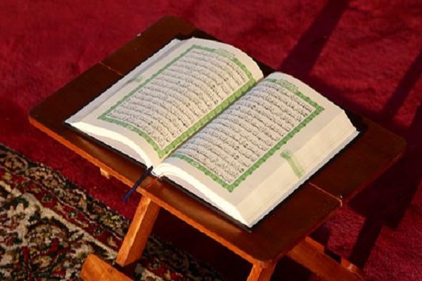 Gâşiye suresinde yaratılış harikaları