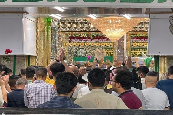Gadir Hum'da 3 milyondan fazla ziyaretçi Hz. Ali'nin hareminde | Fotoğraf