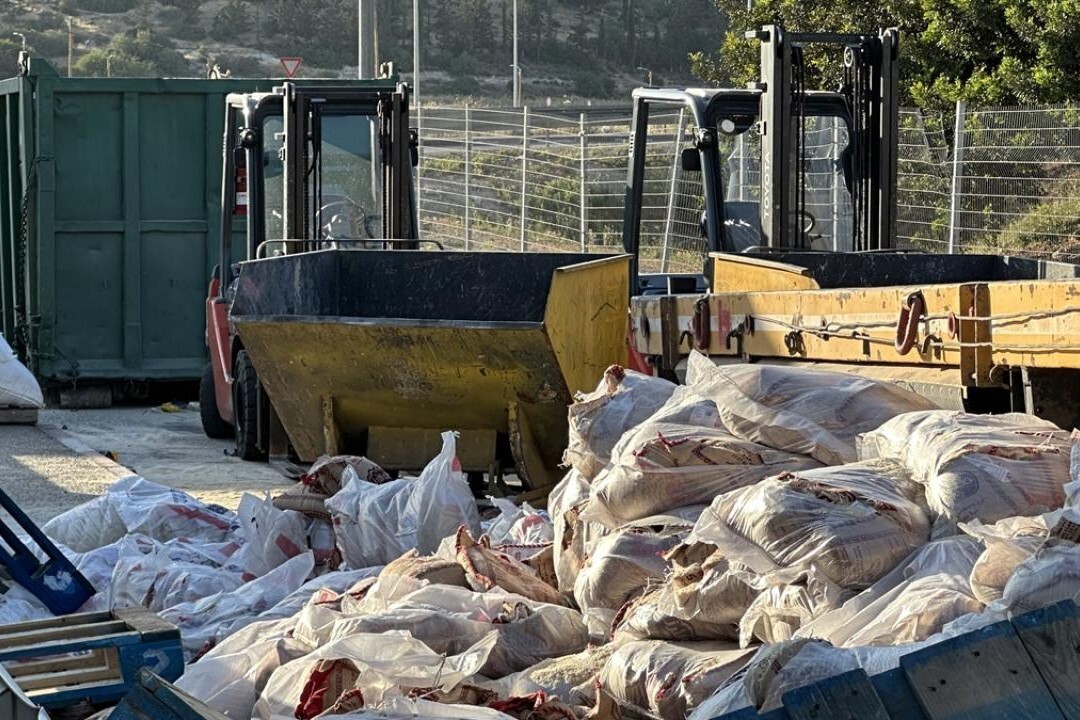 Yahudi işgalciler Gazze’ye giden yardımları engelleyip yola döktü