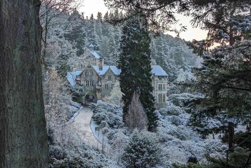 Dünyanın en büyük yılbaşı ağacı süslendi Dünyanın en büyük yılbaşı ağacı süslendi
