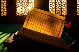 Almanya'da yapılan bir anket gençlerin Katolik Kilisesinden çok İslam'a güvendiğini gösterdi