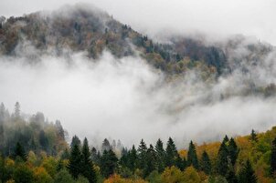 Borçka'daki Karagöl, güz renklerine büründü