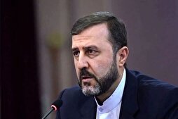 Garibabadi: ABD’nin insan hakları anlayışı, İsrail rejimine dokunulmadığı sürece geçerlidir!