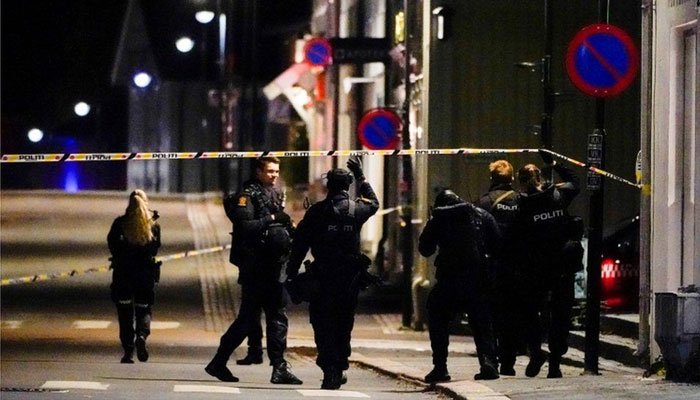 ناروے دہشت گردی/ تیر کمان حملے میں  5 افراد ہلاک