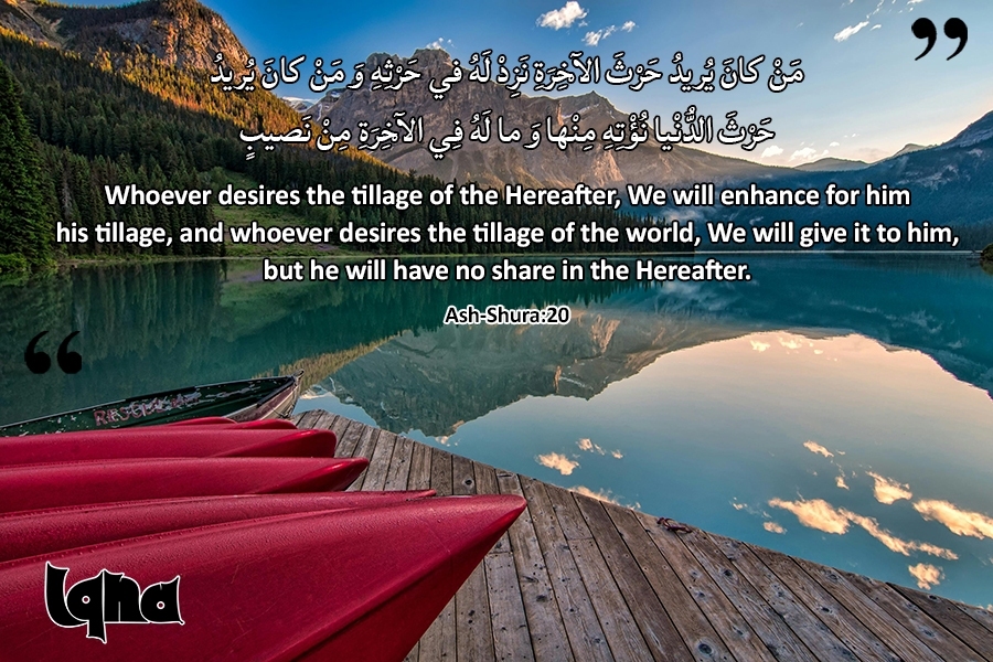 آیات زندگی: دنیا ایک نئی دنیا کے لیے