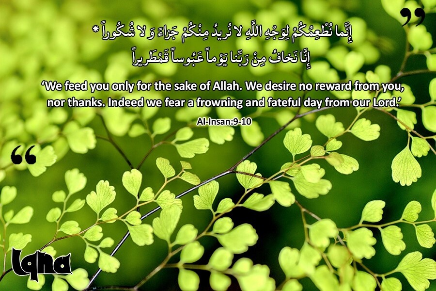 آیات زندگی: ایک سخت فیصلے کا دن