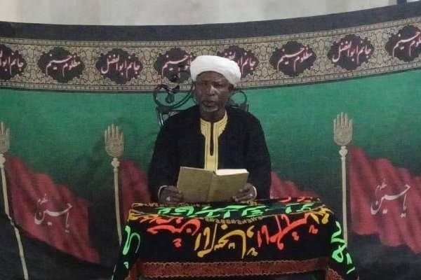 بعض افریقی ممالک میں امام حسین علیہ السلام کی عزاداری کی تقریب کا انعقاد + تصاویر
