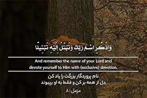 باقی سب سے ناطہ توڑ لے