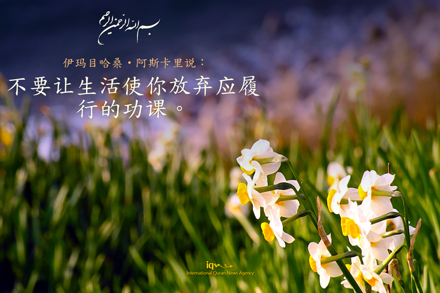 不要让生活使你放弃应履行的功课。