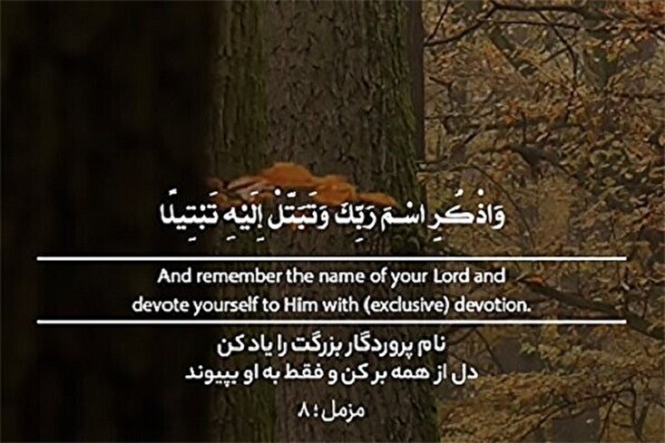 你当专心致志敬事