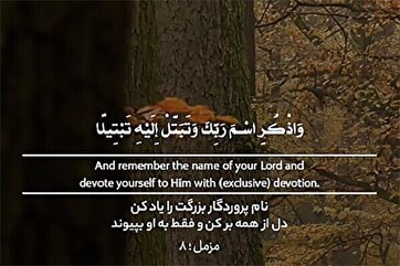 你当专心致志敬事