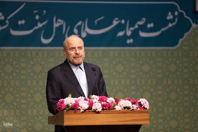 دیدار جمعی از علمای اهل سنت با رئیس مجلس