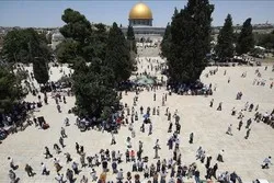 Des centaines de colons ont envahi la mosquée Al Aqsa