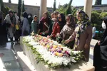 گلباران آرامگاه خواجه اهل راز