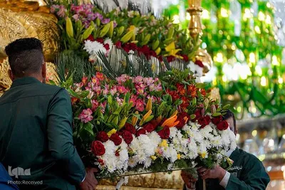 گل آرایی ضریح‌مطهر علوی به مناسبت سالروز ولادت امیرالمومنین حضرت علی (ع)