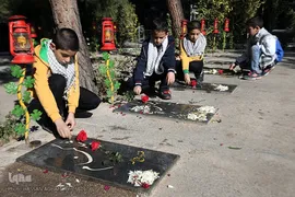 بسیجی، بهار آفرین چهار فصل آزادی
