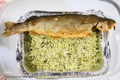 معلولین و سالمندان کهریزک میهمان هم‌نمک شدند
