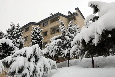 تهران برفی