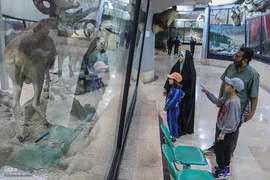 همایش پیاده‌روی خانوادگی جهادگران جهاد دانشگاهی
