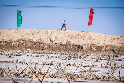 زائران در مناطق عملیاتی جنوب کشور