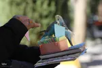 فال حافظ