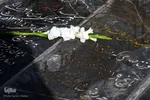 تجدید میثاق جهادگران جهاد دانشگاهی اصفهان با آرمانهای امام راحل و شهدا
