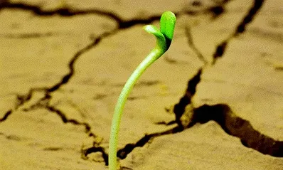 আহলে বাইতের(আ.) শিক্ষায় সফলতার পন্থা