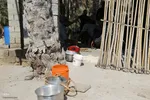 پخت «حلیم در جُم ( خمره) میراثی ۳۰۰ ساله در فین