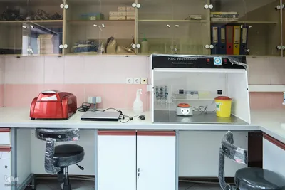 افتتاح مرکز جامع ژنتیک پژوهشگاه رویان