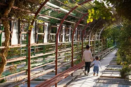 گلباران مزار شهدا در دارالرحمه شیراز